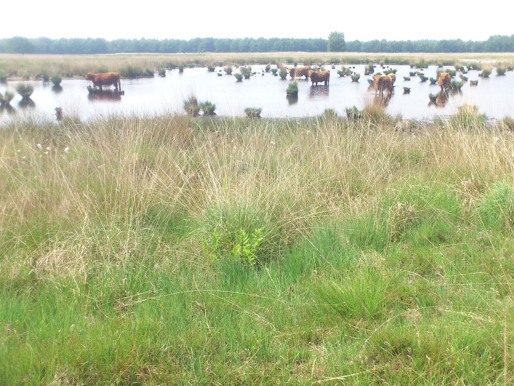 Апартаменти Stal Zwartschaap Stuifzand Екстер'єр фото